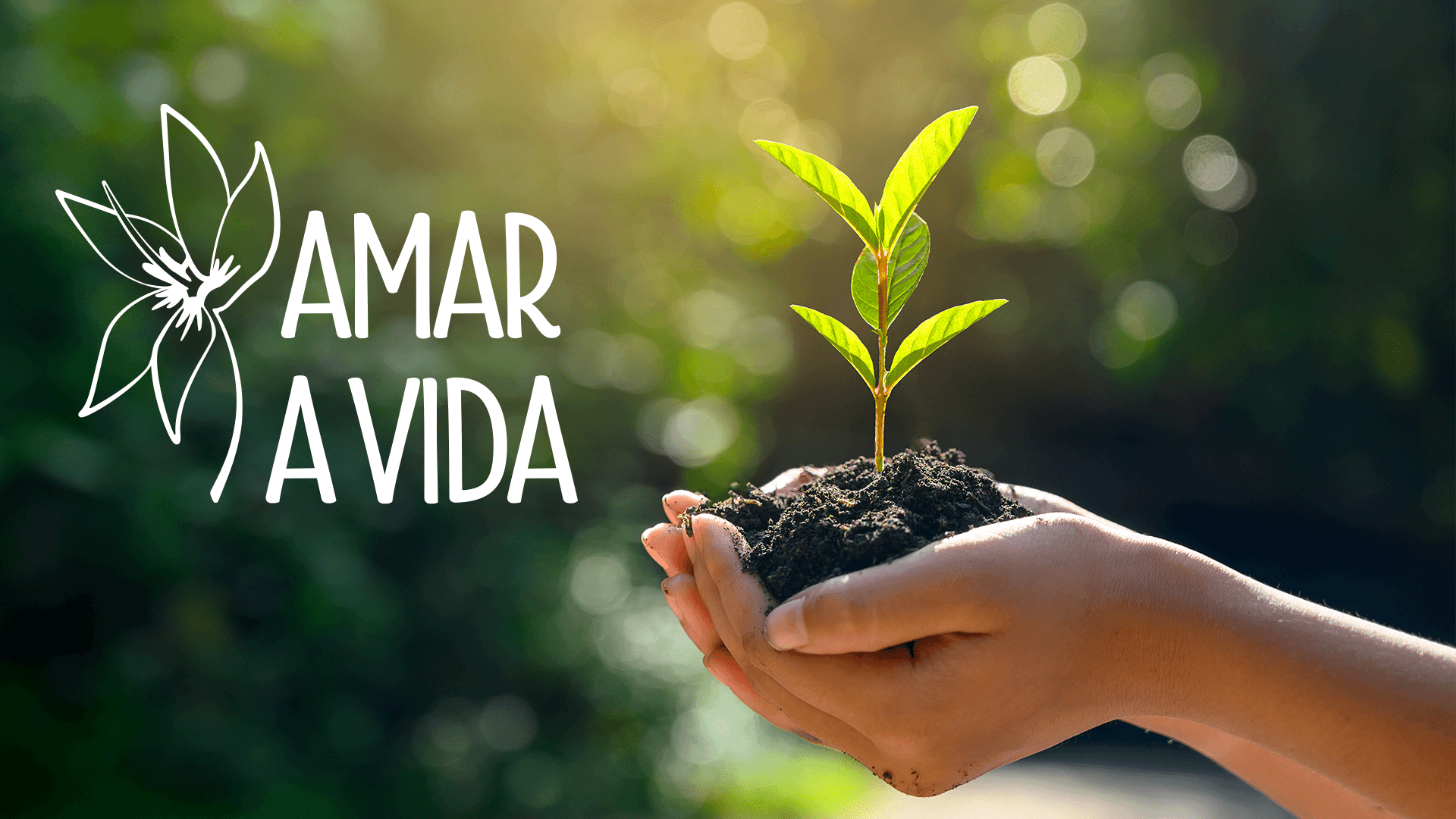 Logo oficial amar a vida